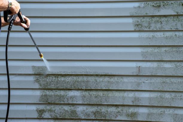 Best Garage Cleanout  in Scottsburg, IN